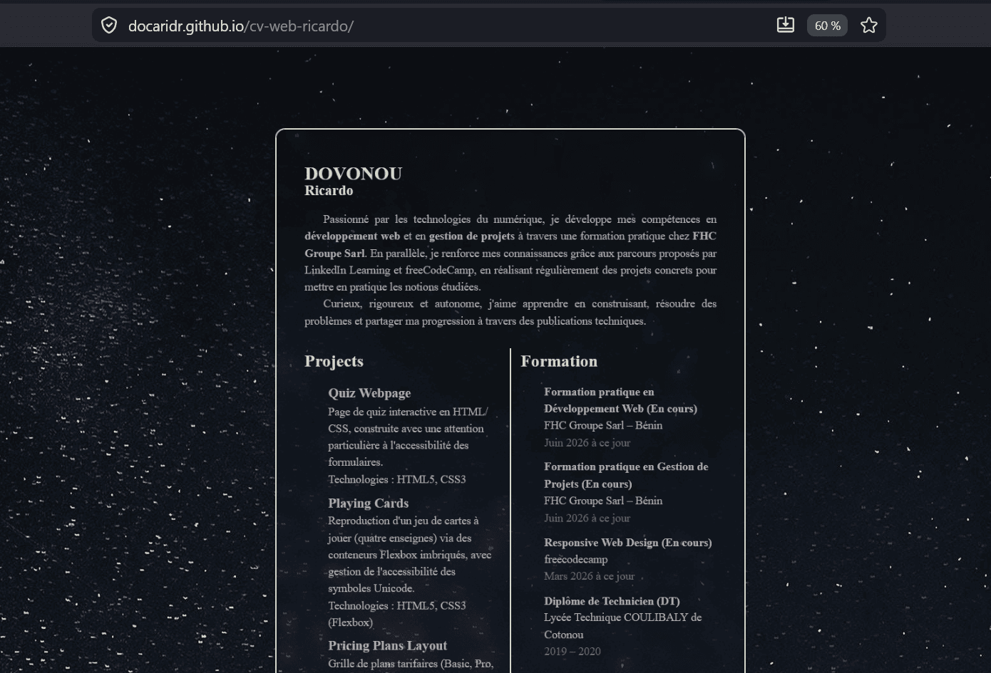 Aperçu illustratif du CV Web